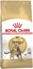 Picture of Royal Canin FBN Bengal Adult - dry cat food - 10kg