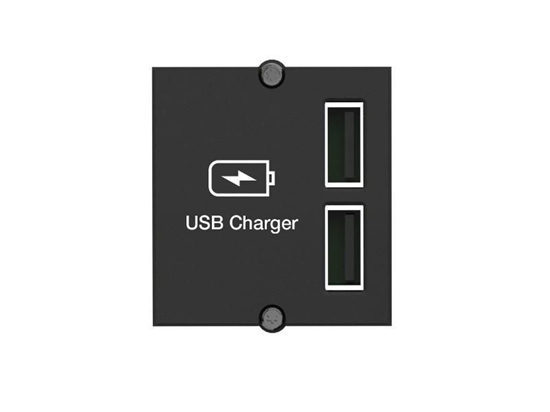 Изображение Bachmann Bachmann custom module USB double charger, charger ((917.224))