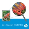 Изображение HP Toner CE 255 XD Twin Pack black No. 55 X