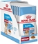 Picture of ROYAL CANIN SHN Medium Puppy in sauce - wet puppy food - 10x140g