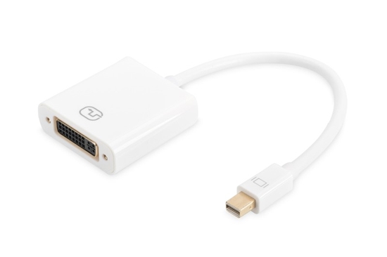 Изображение DIGITUS DisplayPort Adapter / Konverter, 0,15m, weiß