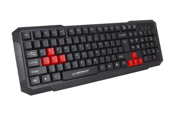 Picture of Esperanza EGK102R keyboard USB Black