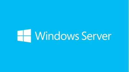 Picture of Microsoft Windows Server 2019 Standard 1 license(s)