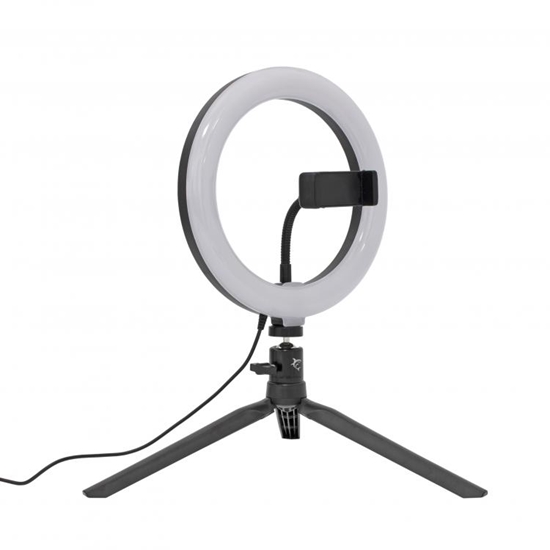 Picture of White Shark RL-08 Moonlight Ring LED Light 20cm