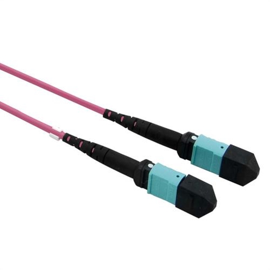 Picture of VALUE MPO Trunk Cable 50/125µm OM4, MPO/MPO, violet, 5 m