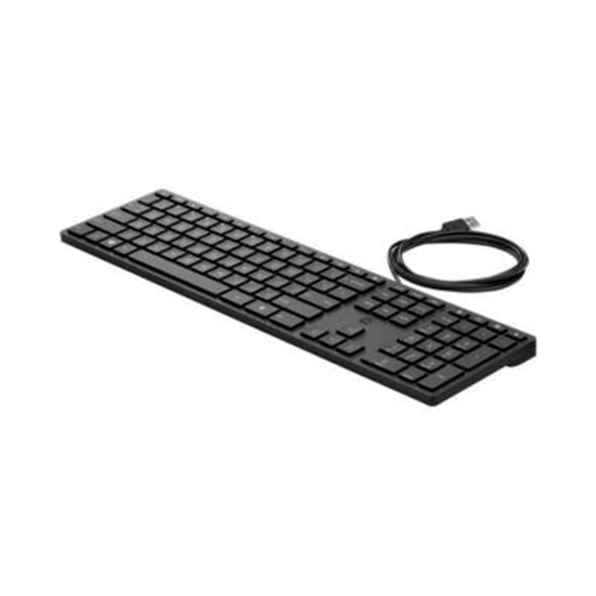 Picture of HP 320K USB Wired Keyboard - Black - EST