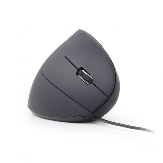 Picture of Gembird MUS-ERGO-01 mouse Right-hand USB Type-A Optical 3200 DPI