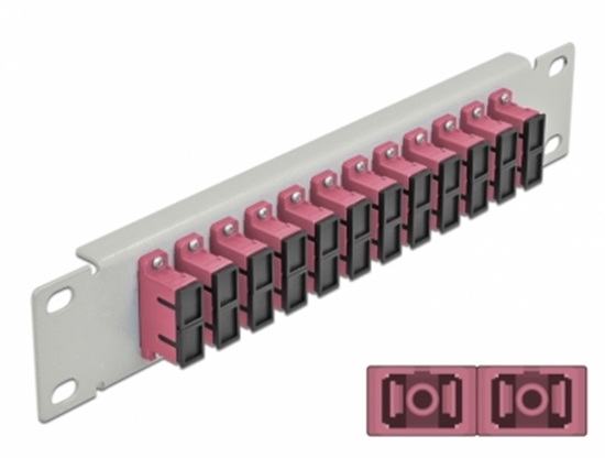 Picture of Delock 10″ Fiber Optic Patch Panel 12 Port SC Duplex violet 1U grey