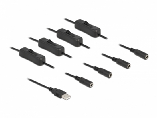 Picture of Delock Cable USB Type-A male to 4 x DC 5.5 x 2.1 mm female with switch 1 m