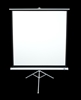 Изображение Tripod Series | T113NWS1 | Diagonal 113 " | 1:1 | Viewable screen width (W) 203 cm | White