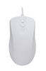 Picture of CHERRY AK-PMH12 mouse Ambidextrous USB Type-A Optical 1000 DPI