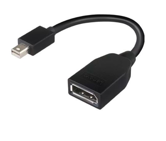 Изображение Lenovo 4X90L13971 DisplayPort cable Mini DisplayPort Black