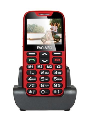 Picture of Evolveo EasyPhone XD 5.84 cm (2.3") 89 g Red Senior phone