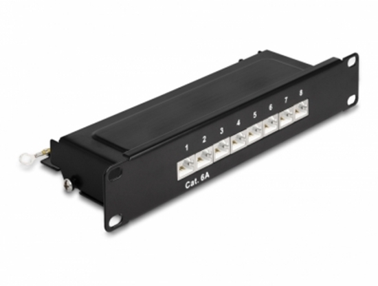 Picture of Delock 10″ Patch Panel 8 port Cat.6A 1U black