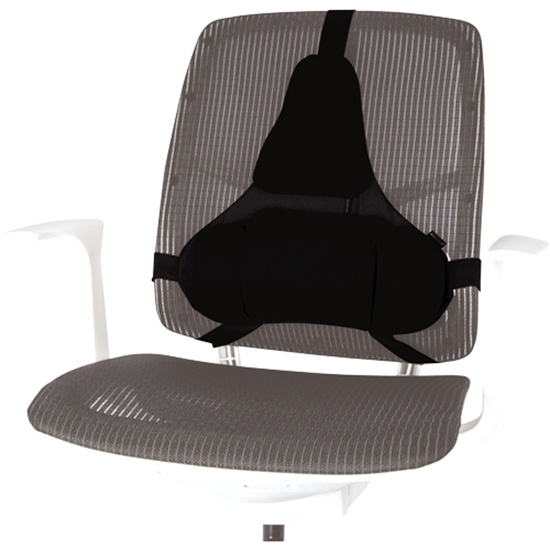 Picture of Fellowes Professional Series Ultimate Back Support