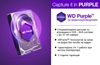 Picture of WD Dysk Twardy HDD WD Purple 1TB SATA 3.0 64 MB 5400 rpm 3,5" WD10PURZ