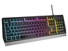 Изображение Genesis Rhod 300 RGB Black