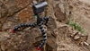 Изображение Joby GorillaPod Action Tripod incl. GoPro Adapter