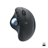 Изображение Logitech Ergo M575 Black