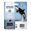 Picture of Epson ink cartridge light black T 7607