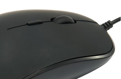 Изображение Conceptronic REGAS01B Optical Desktop Mouse