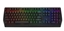 Изображение Alienware AW410K keyboard USB QWERTY US International Black