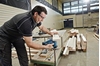 Picture of Bosch GST 12V-70 Cordless Jigsaw