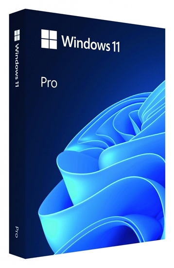 Изображение Microsoft Windows 11 Pro ENG Intl USB FPP