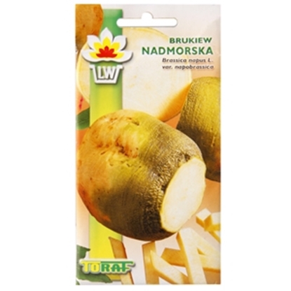 Изображение Sēklas Kālis Nadmorska 10g