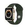 Изображение Apple Watch 6 GPS + Cellular 40mm Stainless Steel Sport Band, gold/cyprus green (M06V3EL/A)