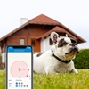 Изображение Tractive Tractive GPS DOG 4 — lokalizator dla psów z monitorowaniem aktywności — kolor biały