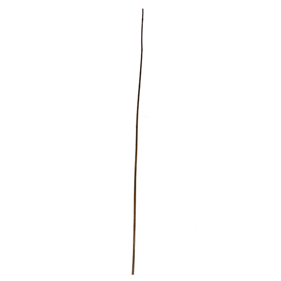 Изображение Bambusa mietiņš 180cm d10-12mm