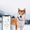 Изображение Tractive Tractive GPS DOG 4 — lokalizator dla psów z monitorowaniem aktywności — kolor biały