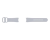 Picture of Samsung ET-SFR86SSEGEU Smart Wearable Accessories Band Silver