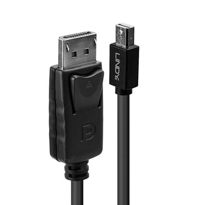 Изображение Lindy Mini DP to DB cable, black, 1m