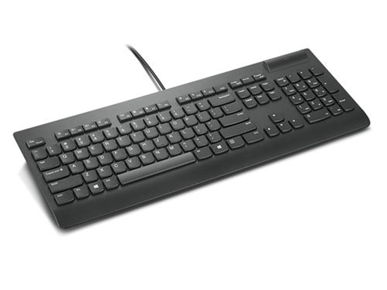 Picture of Lenovo 4Y41B69357 keyboard USB QWERTY US English Black