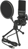 Picture of Delock USB Condenser Microphone Set - for Podcasting, Gaming and Vocals