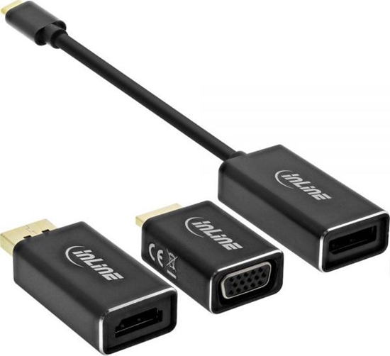 Picture of Adapter USB InLine USB-C - DisplayPort Czarny  (64109B)