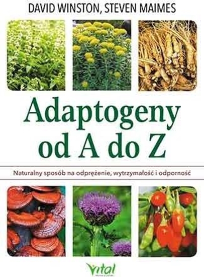 Picture of ADAPTOGENY OD A DO Z NATURALNY SPOSÓB NA ODPRĘŻENIE WYTRZYMAŁOŚĆ I ODPORNOŚĆ