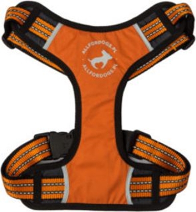 Picture of All For Dogs Szelki sportowe pomarańczowe r. M (60-100cm)