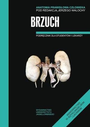 Attēls no Anatomia prawidłowa człowieka. Brzuch