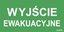 Изображение AWEX Piktogram Wyjście ewakuacyjne 100 x 300mm (PM21)