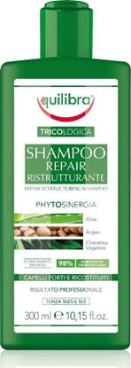 Изображение Beauty Formulas Equilibra Tricologica Naprawczy Szampon restrukturyzujący - włosy matowe i zniszczone 300ml