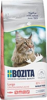 Изображение Bozita Karma sucha dla kota - Large wheat free Salmon 2 kg