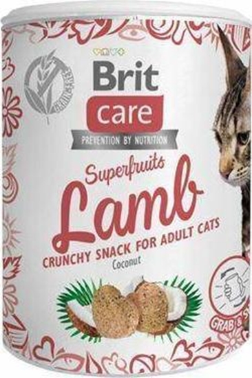 Picture of Brit Brit Care Snack 100g Lamb, przysmak dla kota