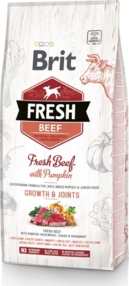 Изображение Brit Fresh Beef & Pumpkin Puppy Large Growth & Joints 12kg