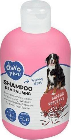 Picture of Duvo+ Duvo+ Szampon Dla Psa Rewitalizujący 250ml Rozmarynowy