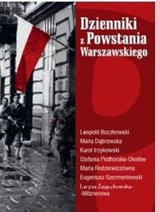 Изображение Dzienniki z Powstania Warszawskiego