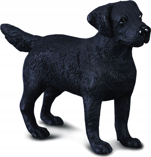 Picture of Figurka Collecta PIES LABRADOR (M)