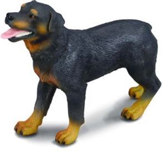 Picture of Figurka Collecta Pies rasy Rottweiler (004-88189)